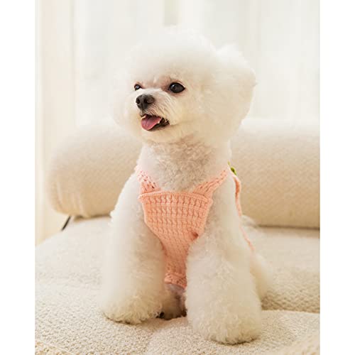 Cavaco De Cachorro Pullover De Cachorro Autumn E Winter Dog Cartoon Tricotado Com Suéter De Suspensó