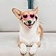 Ptwola Sonnenbrille für Kleine Hunde UV-Schutzbrille Herzförmige Beschlagfreie Winddichte Brille Rosa Hundebrille mit Einstellbarem Gummiband für Outdoor-Aktivitäten und Foto-Requisiten