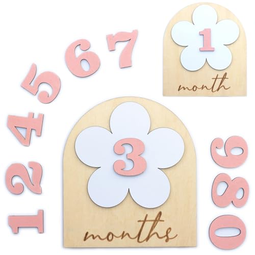 Baby Monthly Milestone, Wooden Baby Milestone Signs, Monthly Milestone Wood Discs, Baby Milestone Discs, Baby Photo Props Cards Interchangeable Number Set of 12 for Baby Growth Recording (Baby flower)
