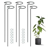 Ativia 6Pack 15.8inch Garden Flower Support Stakes, Metal Plant Support Stakes for Single Stem Plant, Plant Cage Rings with 12 Pack Plant Twist Ties for Rose, Orchid, Lily, Amaryllis, Tomatoes