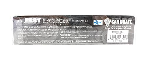 GAN CRAFT(ガンクラフト) ミノー 鮎邪 108 レスト 108mm 1/2ozクラス クラウン #10 ルアー 2枚目