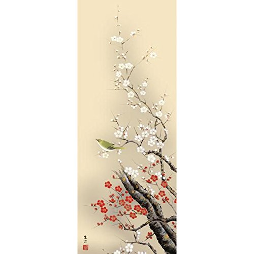 Amazon | 掛け軸／掛軸 清水玄澄・四季花鳥（四幅揃い）（花鳥画掛け軸