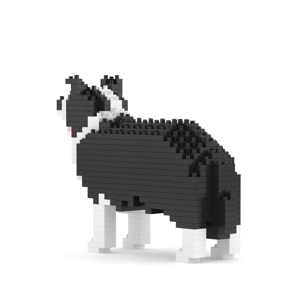 JEKCA Border Collie Mini 01S, Medium - Image 3