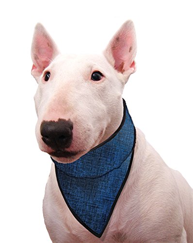 Aqua Coolkeeper 50AQPEBAPB01 Kühlhalstuch für Hunde, Pacific Blau, 19-25 cm