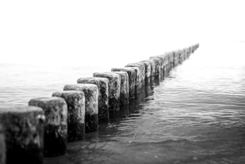 Preisvergleich Produktbild Hansepuzzle 24124 - Schwarz-Weiß Puzzle 2000 Teile / Hintergründe Mit Hochwertiger Aufbewahrung: Kartonbox Und Wieder Verschließbarem Beutel / Maße: 90 x 60 cm