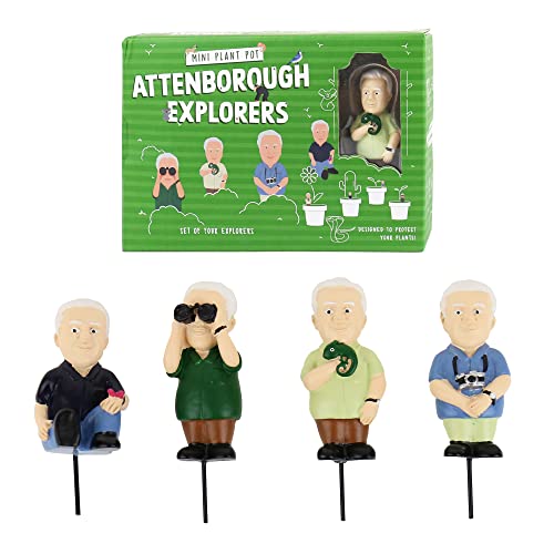 Gift Republic - Attenborough Explorers Plant Markers - These Attenborough Explorers Will Look After Your Plants, 9.5x14.5x3.5 cm, Green - Image 2