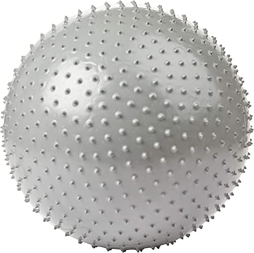 Loja Produto Bola de Pilates 20 Bola de Pilates Suíça Ginástica Textura Cravo WCT Fitness
