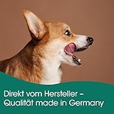 cdVet Naturprodukte FischSnack Beutel 250 g - Hund, Katze - Einzelfuttermittel - Belohnung - wertvolle Omega Fettsäuren - natürlich - luftgetrocknet - ohne Farbstoffe + Konservierungsstoffe -