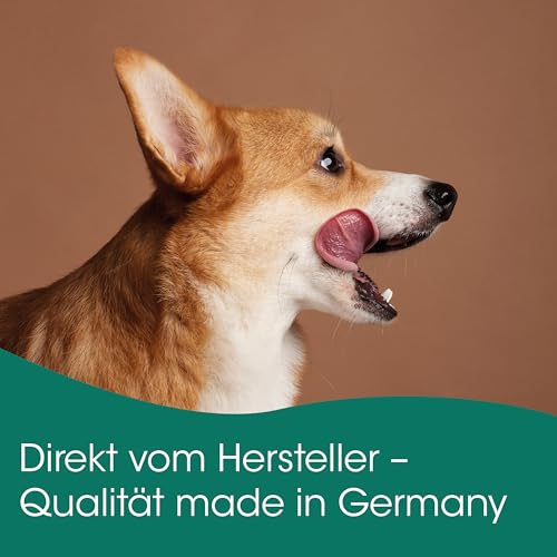 cdVet Naturprodukte FischSnack Beutel 250 g - Hund, Katze - Einzelfuttermittel - Belohnung - wertvolle Omega Fettsäuren - natürlich - luftgetrocknet - ohne Farbstoffe + Konservierungsstoffe -