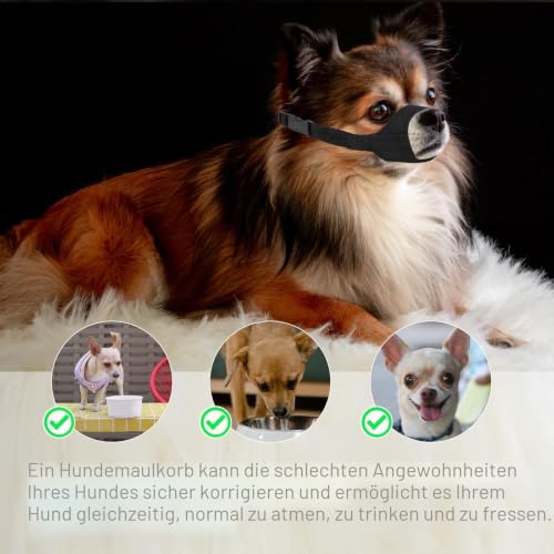 PEUTIER Maulkorb für Hunde mit Kurzer Schnauze, Maulkorb für Kleine und Mittelgroße Hunde Weich Maulkorb Gegen Beißen und Bellen Dog Muzzle für Chihuahua Hiromi Shih Tzu, Schnauzenumfang 10,8-14cm