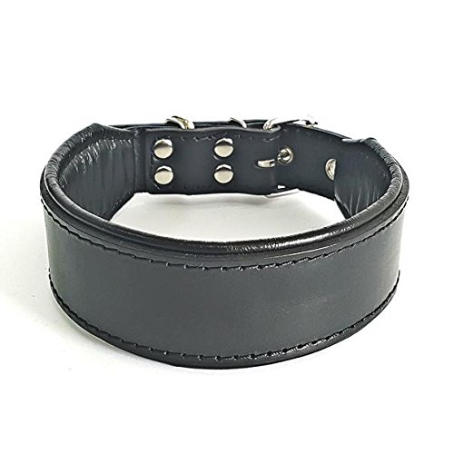 Bestia™ "Classic Echtleder Hundehalsband. 100% Leder. Weich gepolstert. TOP Qualität!