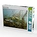 Produktbild CALVENDO Puzzle Meister der Tarnung 1000 Teile Lege-Größe 64 x 48 cm Foto-Puzzle Bild von Mario Merkel
