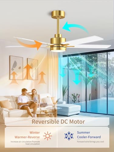 Image of LANMEL 52'' Ceiling Fan with Lights and Remote, Low Profile Modern Ceiling Fan Gold, 6 Speed, Reversible, 3000k-6000k LED, Quiet DC Motor Ceiling Fans for Indoor Outdoor Bedroom Living Room