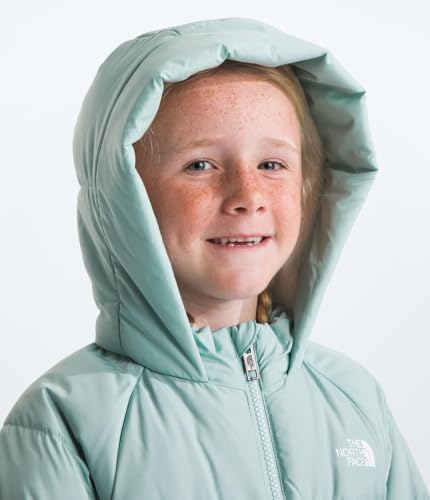 Image of THE NORTH FACE unisex-baby North Down Fleece-lined Parka