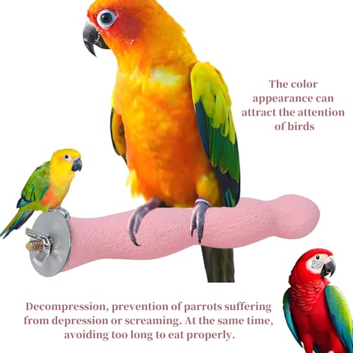 Image of Bird Perch Parrot Stand, Wooden Stick Paw Grinding Rough-surfaced Chew Toy for Birds Parrots Cockatiels Cockatoo Lorikeet Conure Parakee Cage Accessories, 8.7 inch,Pink