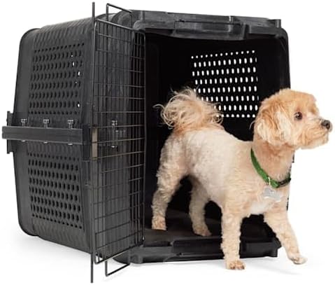EveryYay by Petco Travel Pet Kennel 28" L X 20.5" W X 21.5" H Black
