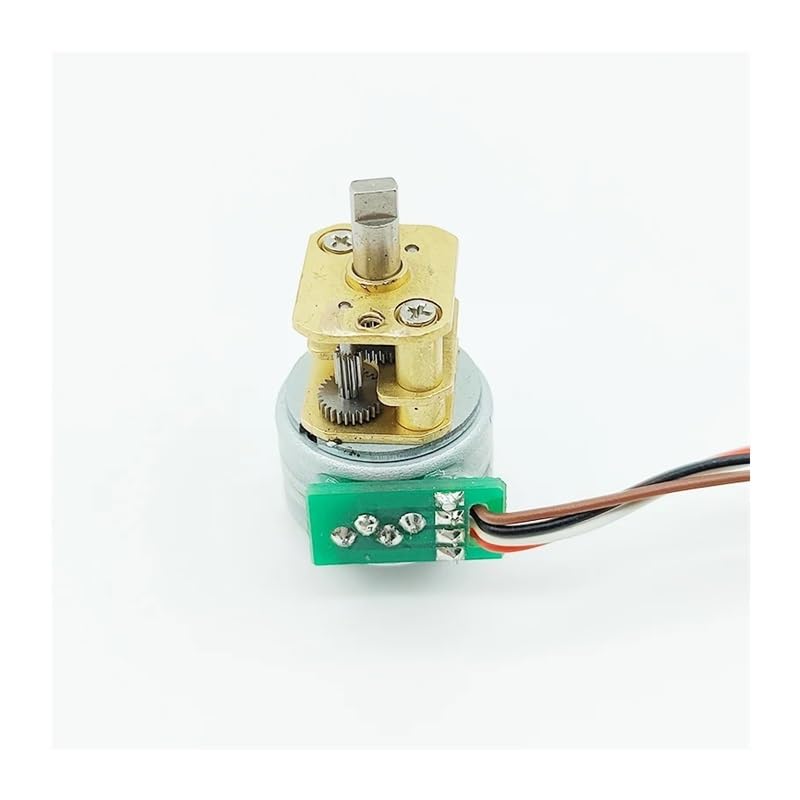 蝶の標本 ジャングルを舞う宝石(特1) 蝶の標本 ジャングルを舞う宝石