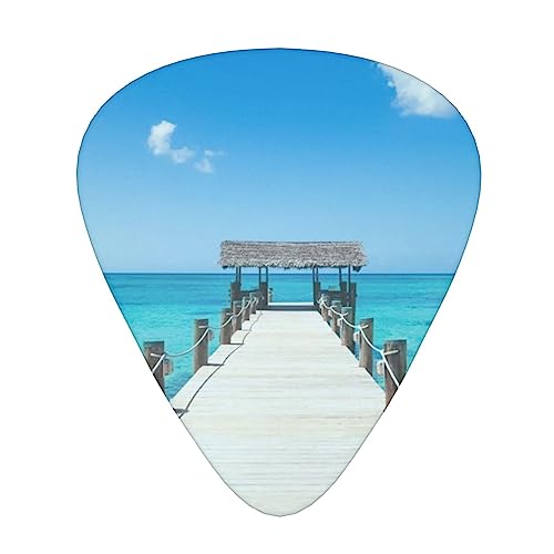 Tropical Pier Lot de 12 médiators tendance et durables dans une boîte pour ukulélé guitare électrique basse - Les Beatles, Paul McCartney, John Lennon, RIngo Starr, George Harrison Tropical Pier Lot de 12 médiators tendance et durables dans une boîte pour ukulélé guitare électrique basse