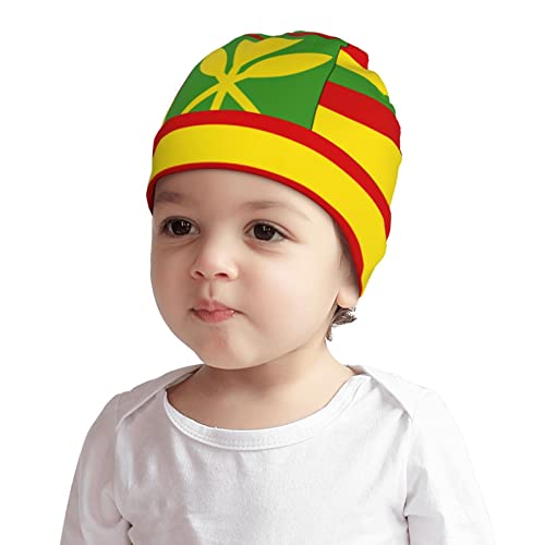 Image of Kanaka Maoli Native Hawaiian Flag Baby Soft Knit Kids Unisex Cap Infant Toddler Hedging Cap Newborn Cotton Beanie Hats
