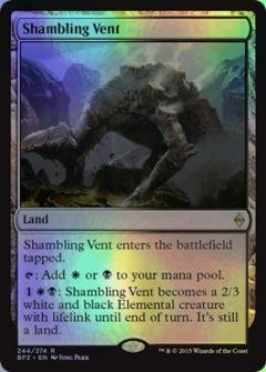 Amazon.co.jp: マジックザギャザリング MTG 土地 英語版 乱脈な気孔