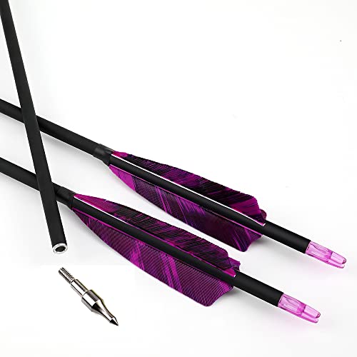 Pg1Archery 30 Inch Carbon Arrows With 4 Inch Shield Turkey Feathers Fletching & Removable Points Tips For Archery Hunting Practice Targeting, 6 Pack Purple #TOP6