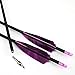 PG1ARCHERY 31-Inch Carbon Arrows Target Practice Hunting Arrow with 4