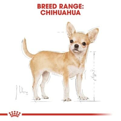 ロイヤルカナン BHN チワワ 成犬用