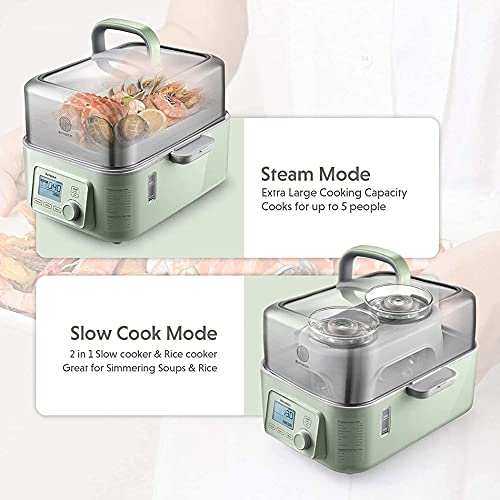 Image of BUYDEEM G563 5-Quart Electric Food Steamer for Cooking, One Touch Vegetable Steamer, Digital Multifunctional Steamer, Quick Steam in 60s, Stainless Steel Steamer Tray & Glass Lid, Cozy Greenish