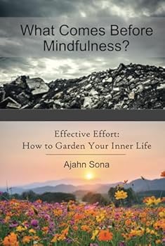 What Comes Before Mindfulness?: Effective Effort: How to Garden Your Inner Life