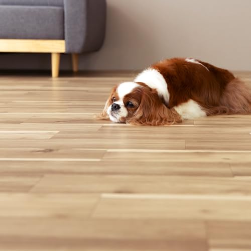 UTOPIE gs[ ybgp NbVtA Ռz ɂ u OK  t[O}bg ^C z \Ă͂ ڒܕsv ~  DIY tH[ ͗lւ ȒP  u~^Cv (OAJVA