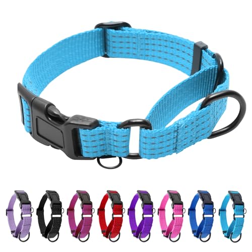 Image of Martingale Dog Collar, Reflective No Pull with Buckle, Sky Blue, S | Escape Proof without choking ,Training Collar with Quick Release Buckle, Adjustable Heavy Duty Nylon collars for S M L Dogs