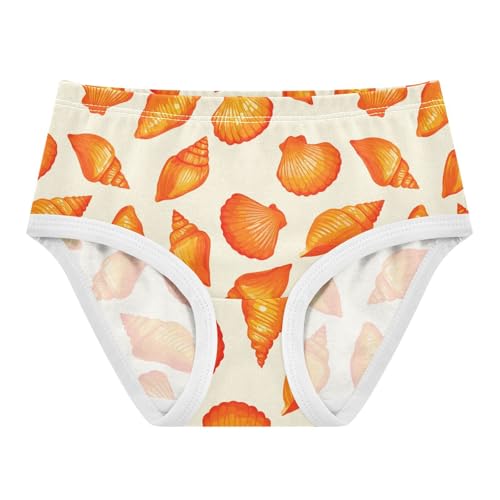 Shell Toddler Girls's Underwear 2T 2302895