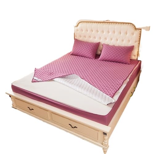 Funda Colchón Impermeable Funda de colchón Completamente Cerrada 6 Lados, Protector Impermeable, Funda Cama con sábana Ajustable Cremallera(Qian dou sha,160x200x15cm)