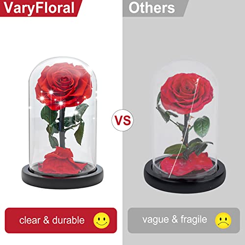 Varyfloral Forever Rose In Glass Dome Preserved Real Red Rose Flower Gifts For Her Mom Woman Wife Girlfriend Eternal Beauty And The Beast Rose For Mothers Day Valentines Day Anniversary Birthday #TOP2