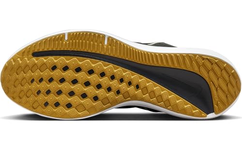 Nike Winflo 10 Men's Road Running Shoes (DV4022-009, Black/Bronzine/Amber Brown/Olive Aura) Size 12