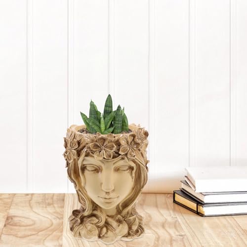 Pot de fleurs succulentes fille pour une ambiance poétique - 6