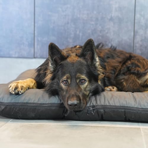 4L Textil KLEO Hundebett mittelgrosse Hunde waschbar Hundekissen mittelgrosse Hunde Hundematte Hundematratze Hundekissen XXL (M-90x70 cm, Graphit(Mit Reißverschluss))