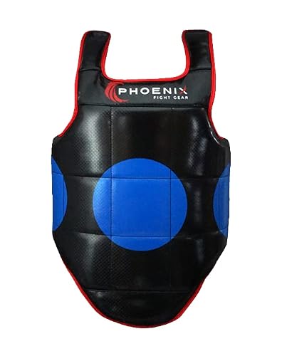 Kids Champion Reversible Chest Protector, Child & Youth Chest Guard for MMA, Taekwondo, Mauy Thai, Boxing, Kickboxing, Sparring & Training Gear (Black, Large)