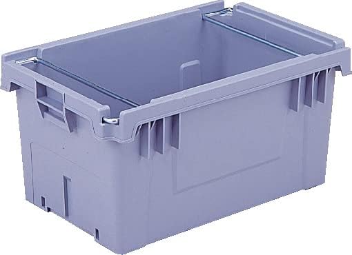 Marie Laurencin、LA PRINCESSE、海外版超希少レゾネより 2024年の春