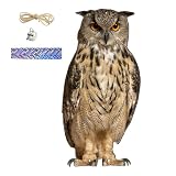 Plastic Owl to Scare Birds Realistic Waterproof Bird Scare Devices with Bell and Rope Hangable Decor Indoor Outdoor
