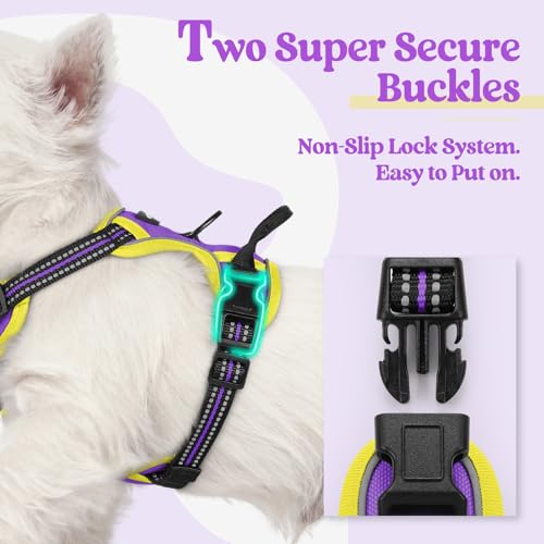 Image of rabbitgoo Dog Harness No Pull with 2 Leash Clips, Adjustable Soft Padded, Reflective Oxford No Choke Pet Vest with Easy Control Handle for Puppy, Purple & Yellow, XS