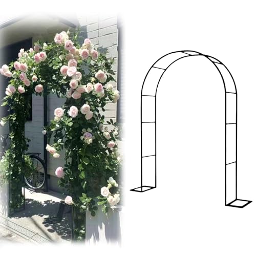 Arche de jardin robuste noire pour plantes grimpantes, décoration de mariage, utilisation en intérieur/extérieur, treillage durable 140 x 250 cm