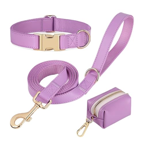 Collier pour chien taille L réglable anti-traction avec laisse