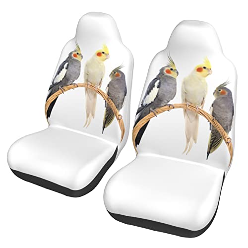 lGʗp 3C̃IJCR J[V[gJo[ QZbg Oȗp e͐ǂ ϋvƑϖՐ y h C 􂦂 ʎ Kp tg y V[gJo[ ʋC tgȓKp