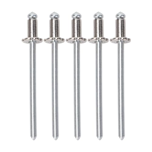 Headerbs アルミニウムロゼットリベットAMC VINドアタグの固定のためのラストプルーフ交換 (銀)