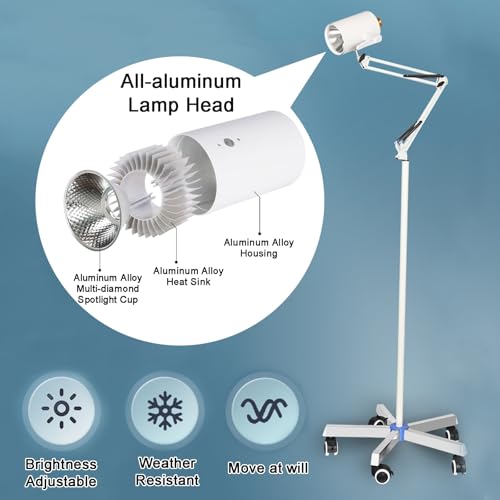 Lampe chirurgicale à intensité variable LED 12W avec faisceau orientable à 360° - 2