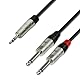 Adam Hall Cables 4 STAR YWPP 0300 Y-Kabel REAN 2 x Klinke TS auf Miniklinke TRS | 3 m