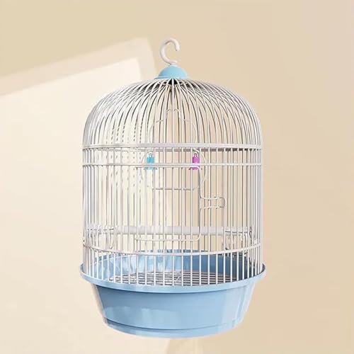 CokBluIJCREZLZCCREp ی^P[W o[hP[W Zbg GT 2 t nht TCY ȃXy[X  䟭 CeA ^сEړ֗ ꂩ񂽂 Ƃ肩