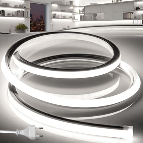 BRIMETI Striscia LED Neon 2M 220V Tubo LED Silicone Flessibile Esterno Impermeabile IP65 Nastri LED Luminosa 120 LED/M Corda Stringa Lampada, con Alimentatore di rete e Controller (Bianco)