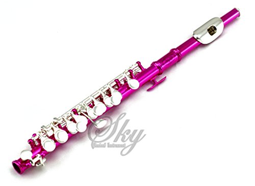 Sky(Paititi) Band Approved Hot Pink Laquer with Silver Keys Piccolo Key of C with Hard Case, Cloth, Cleaning Rod, Joint Greasae 